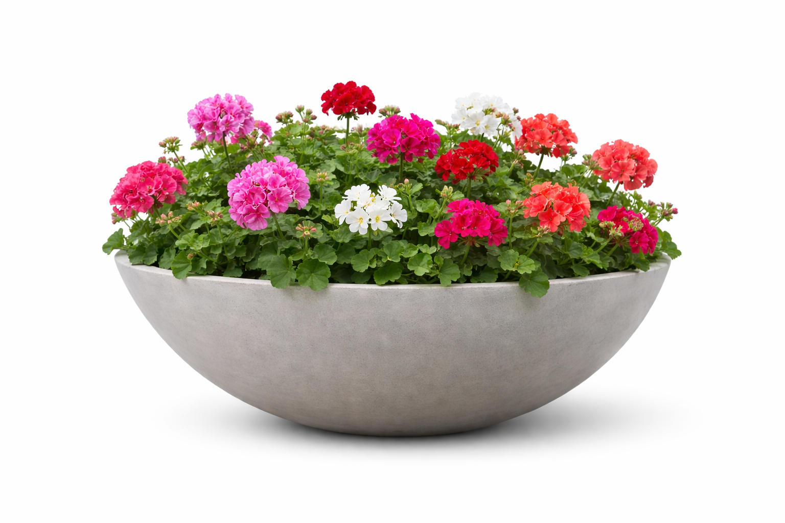 BOWL CEMENTO GRANDE - Image 4