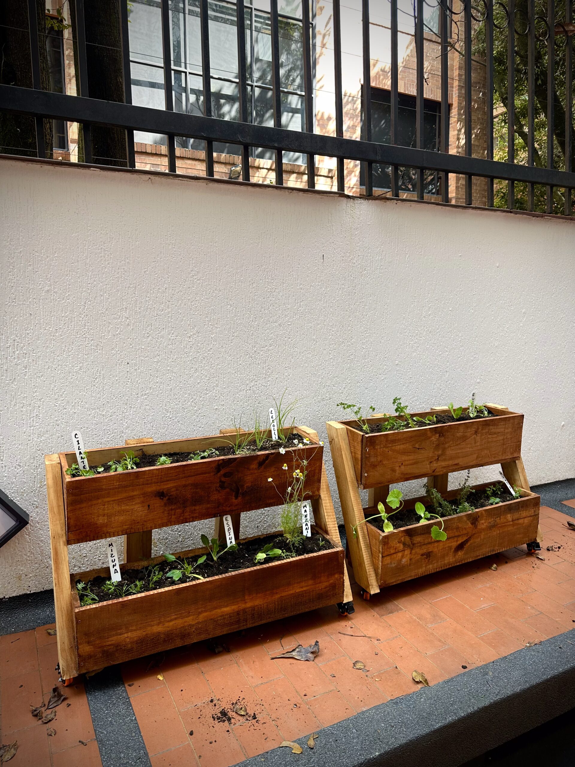 HUERTA DE DOS NIVELES - Image 5