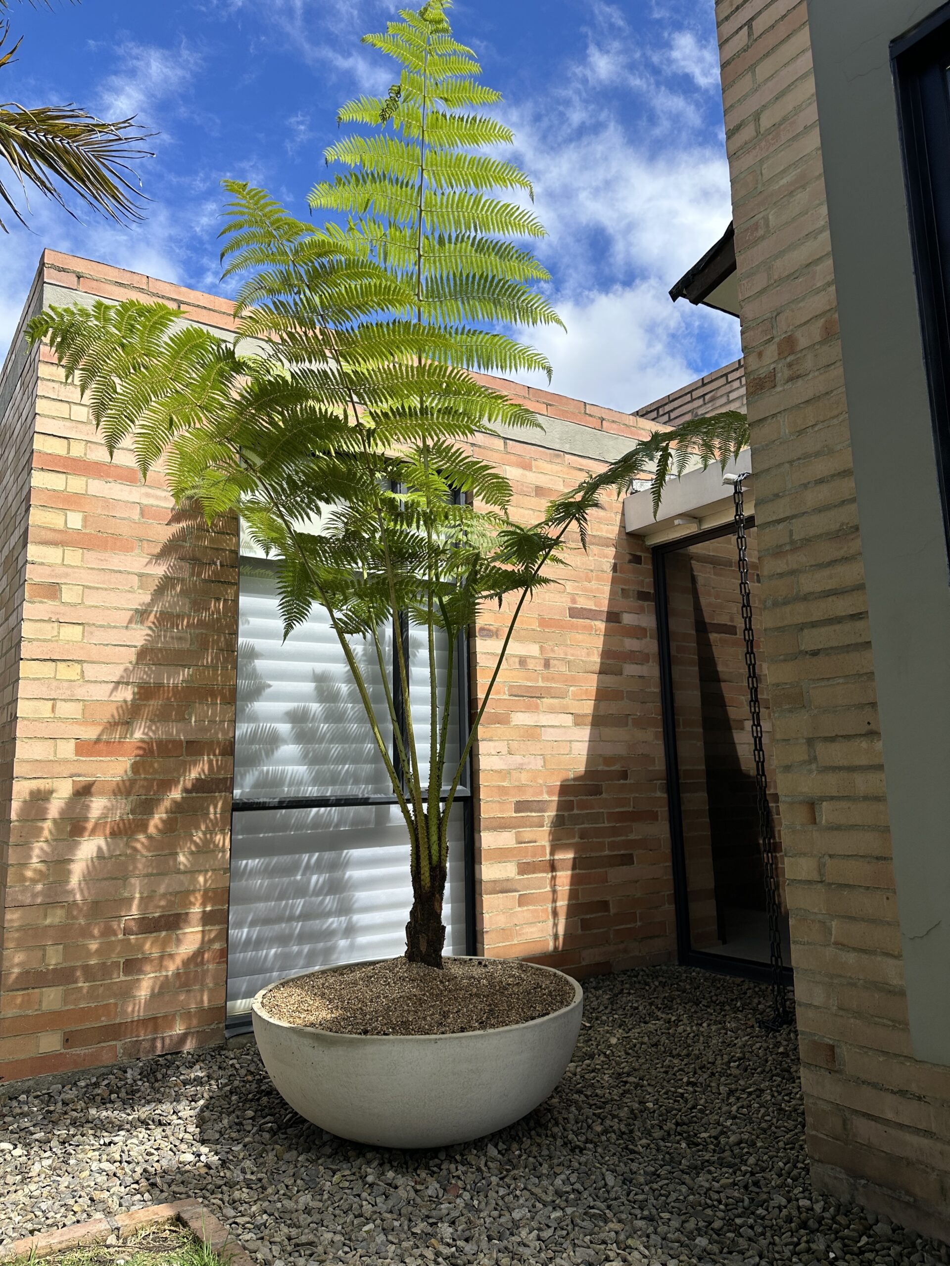 BOWL CEMENTO GRANDE - Image 2