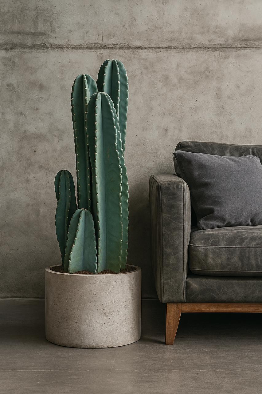 CACTUS CANDELABRO - Image 6