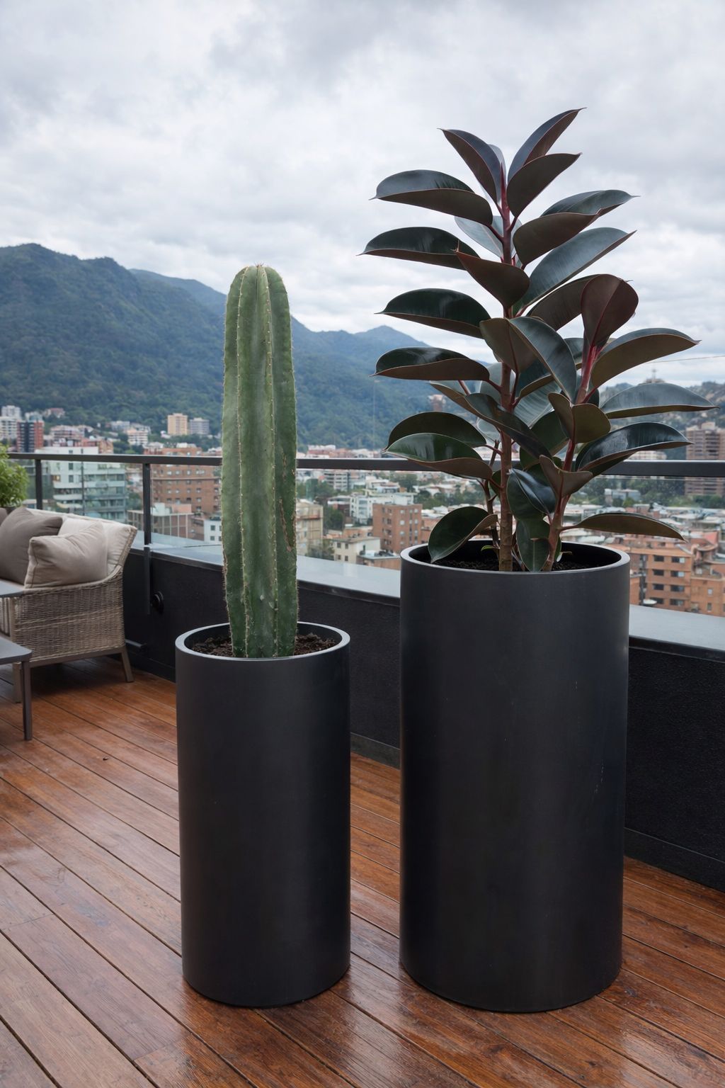 CACTUS CANDELABRO - Image 5